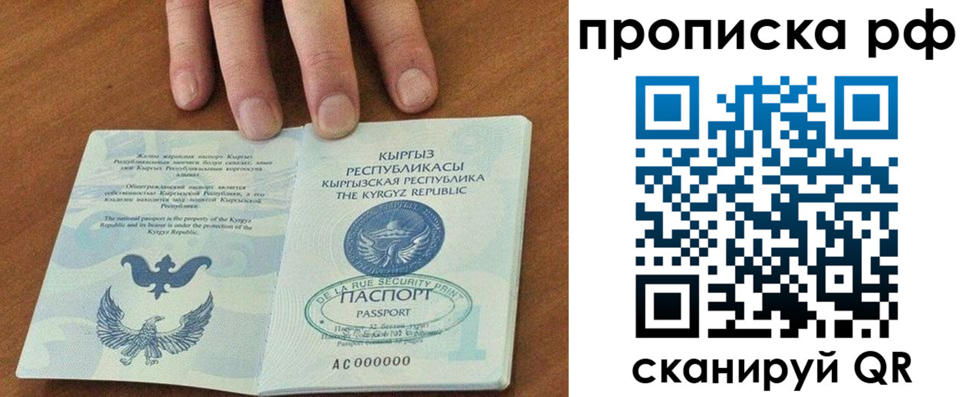 временная регистрация недорого в Благовещенске